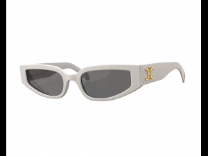 Triomphe 12 Sunglasses Model 3D
