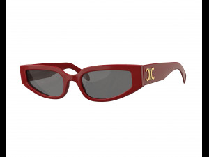 Triomphe 12 Sunglasses Model 3D