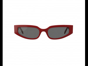 Triomphe 12 Sunglasses Model 3D