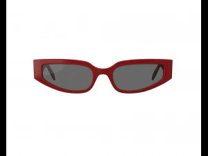 Triomphe 12 Sunglasses 3D Model