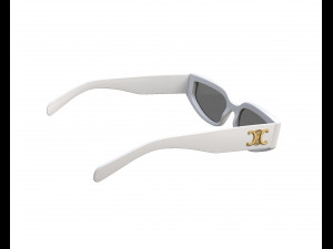 Triomphe 12 Sunglasses Model 3D