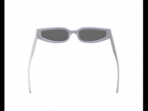 Triomphe 12 Sunglasses Model 3D