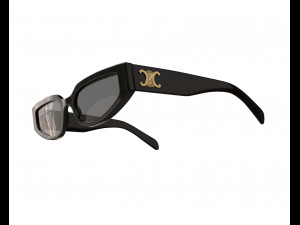 Triomphe 12 Sunglasses Model 3D