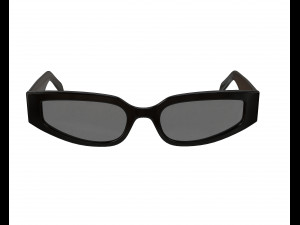 Triomphe 12 Sunglasses Model 3D