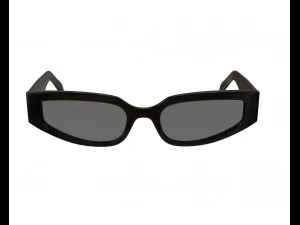 Triomphe 12 Sunglasses 3D Model