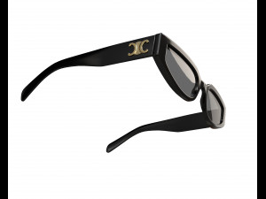 Triomphe 12 Sunglasses Model 3D