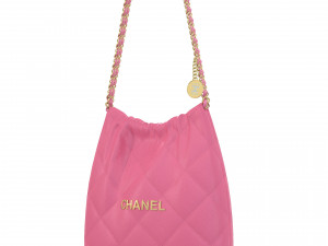 22 Chain Bag 3D Модель
