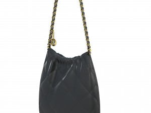 22 Chain Bag 3D Модель