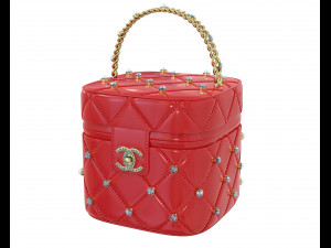 Crystal Vanity Bag Modèle 3D