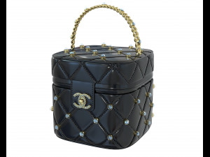 Crystal Vanity Bag Modèle 3D