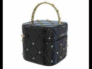 Crystal Vanity Bag Modèle 3D