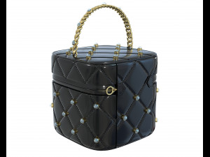 Crystal Vanity Bag Modèle 3D