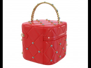 Crystal Vanity Bag Modèle 3D