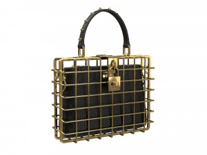 DG Box Cage Bag Modelo 3D