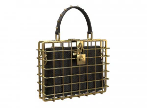 DG Box Cage Bag 3D Model