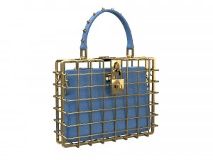 DG Box Cage Bag 3D Model