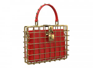 DG Box Cage Bag 3D Model