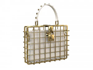 DG Box Cage Bag 3D Model