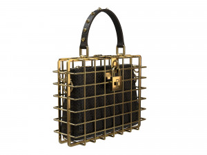 DG Box Cage Bag Modelo 3D