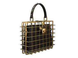 DG Box Cage Bag 3D Model