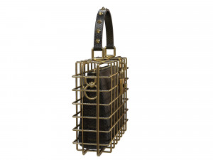 DG Box Cage Bag Modelo 3D