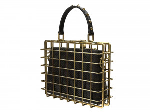 DG Box Cage Bag Modelo 3D