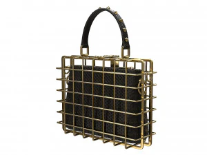DG Box Cage Bag 3D Model