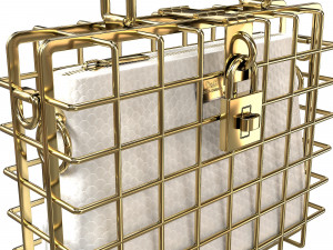 DG Box Cage Bag Modelo 3D