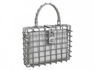 DG Box Cage Bag Modelo 3D