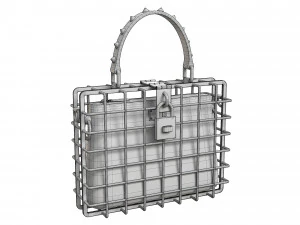DG Box Cage Bag 3D Model