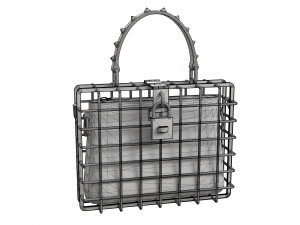 DG Box Cage Bag Modelo 3D