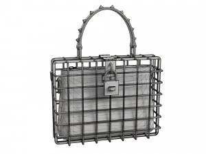 DG Box Cage Bag 3D Model