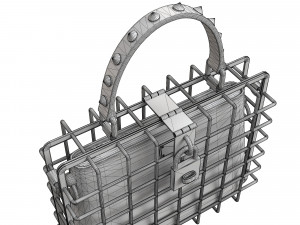DG Box Cage Bag Modelo 3D