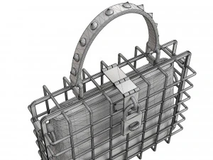 DG Box Cage Bag 3D Model