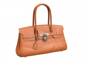 Bag 42 Orange Leather 3D Model