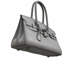 Bag 42 Orange Leather 3D Model