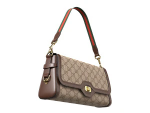 Luce Bag Brown 3D Model
