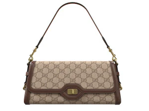 Luce Bag Brown 3D Model