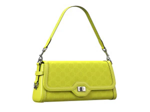 Bolso Luce Verde Modelo 3D