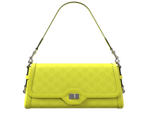 Luce Bag Green 3D Модель