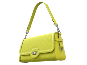 Luce Bag Green 3D Модель