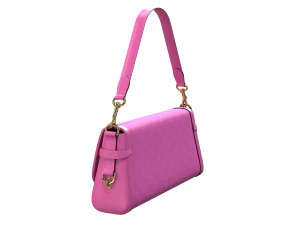 Luce Bag Light Pink 3D Model
