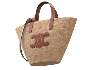Triomphe Classic Pannier Basket Bag in Raffia 3D Model