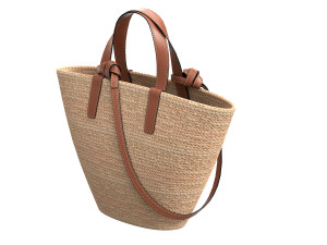Triomphe Classic Pannier Basket Bag in Raffia 3D Model