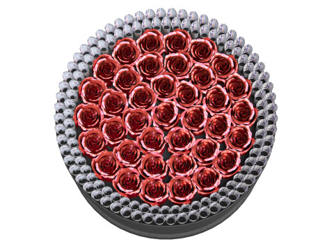 Rose Gift Box with Dollars 3Dモデル