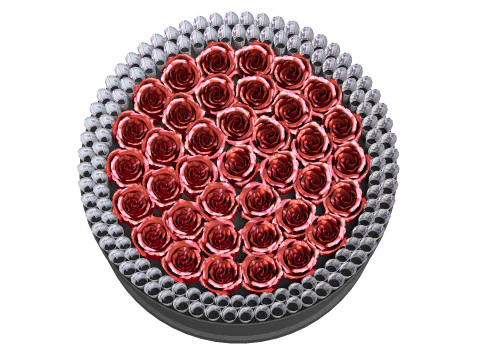 Rose Gift Box with Dollars 3D Model