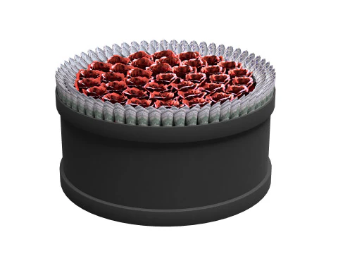 Rose Gift Box with Dollars 3D Model