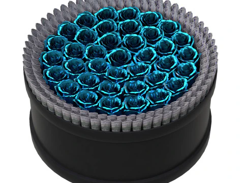Rose Gift Box with Dollars 3D Model