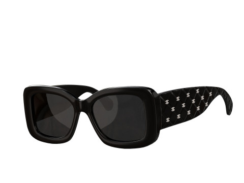 Acetate 5483 Rectangle Sunglasses 3D Модель