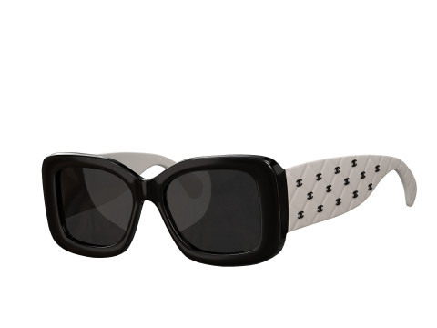 Acetate 5483 Rectangle Sunglasses 3D Модель